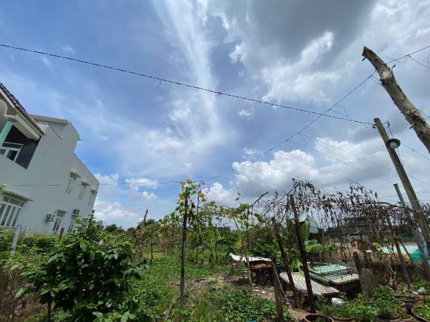 Bán đất lớn  trường thạnh q9- 4375m2 ful tc, đường số 8 - 7093135