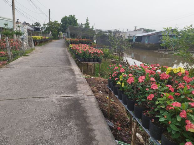 Bán đất mặt tiền đường phạm hồng thái, sa đéc, 308m2, sổ 7093385