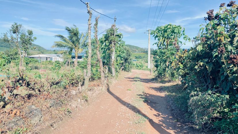 Hẻm đường vào kdl thác pongour, đức trọng, lâm đồng 7093443