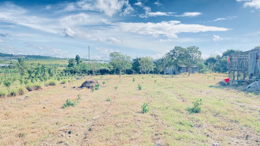 Hẻm đường vào kdl thác pongour, đức trọng, lâm đồng 7093444