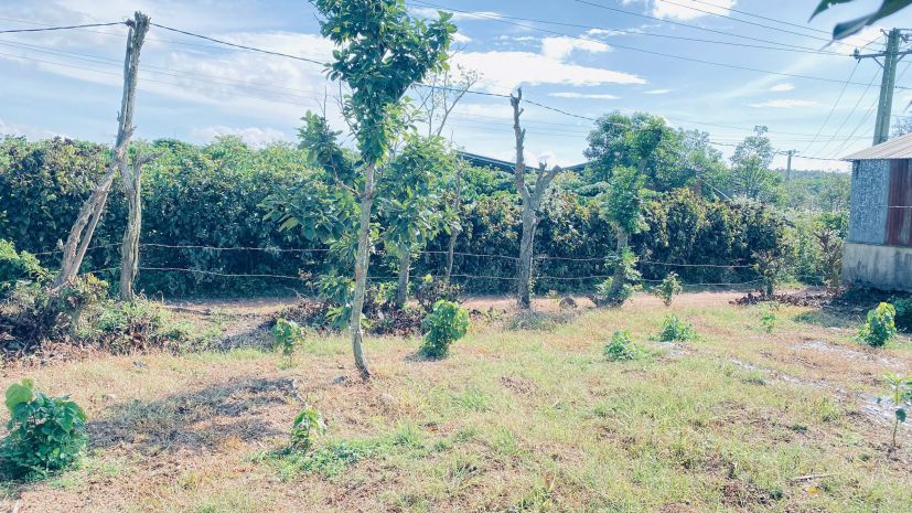 Hẻm đường vào kdl thác pongour, đức trọng, lâm đồng 7093445