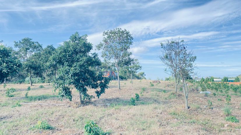 Hẻm đường vào kdl thác pongour, đức trọng, lâm đồng 7093447