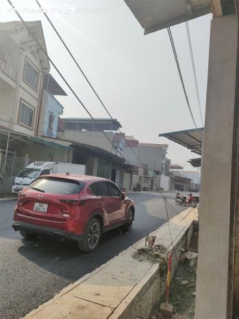 Bán gấp giá rẻ quang minh 100m, đất, mặt tiền 8m, 1.45 tỷ 7094253