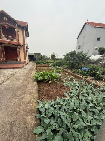 Cần bán 50 m2 đât đặng xá - gia lâm, giá đầu tư, liên hệ 7094711