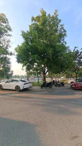 Bán mảnh đất đẹp hiếm  99m2  hai mặt đường ô tô tránh 7094852