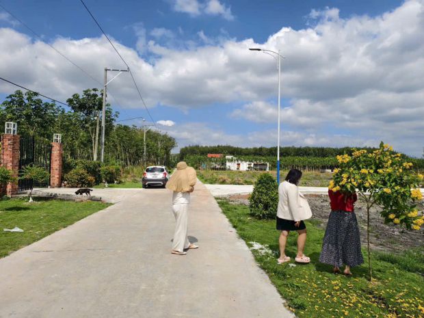 Sóng thần bất động sản 2026: đón đầu cơ hội đột phá! 7096331