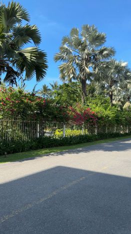 Tuyệt phẩm nhà phố biển đà nẵng - mặt tiền tân lưu - 7097022