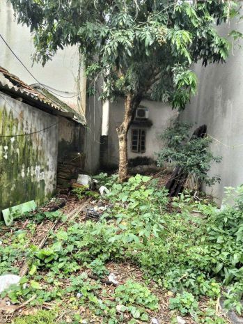 .thửa đất đẹp giá hợp lý- khu vực đại áng  đang phát 7097329