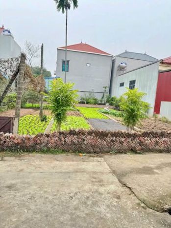 Muốn bán gấp 51.5m đất tích giang _ phúc thọ _ hà nội 7099344