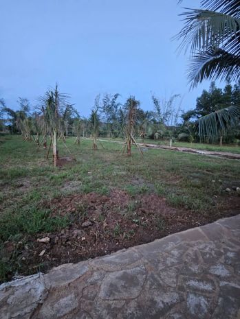 Cần bán gấp đất thổ cư  gần sân bay long thành 7099660