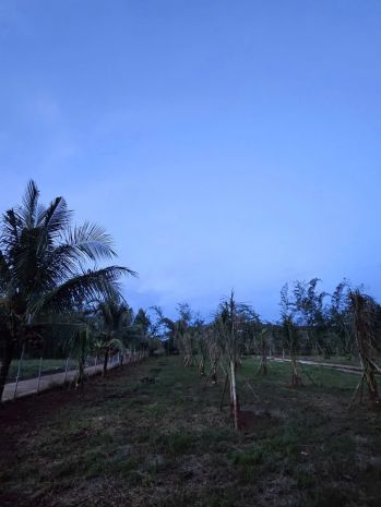 Cần bán gấp đất thổ cư  gần sân bay long thành 7099661