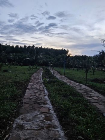 Cần bán gấp đất thổ cư  gần sân bay long thành 7099664