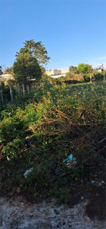 Đất đẹp  giá đầu tư  - cần bán lô đất hẻm phạm hùng xã tân 7100401