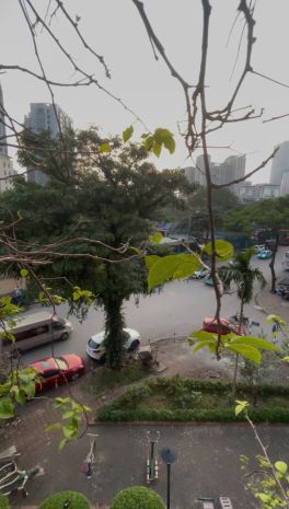 Cho thuê căn hộ chung cư 2pn  vũ phạm hàm, cầu giấy 7102884