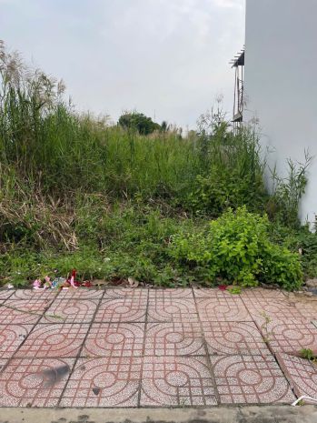 Đất giá tốt 1 tỷ 2  dân cư hiện hữu  xây ở ngay 7103642