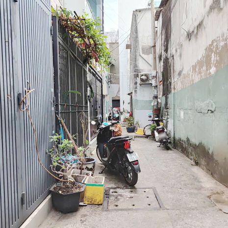 Nhà hẻm 56 bùi minh trực - p5, giá : 4,880 tỉ bớt lộc 7104798