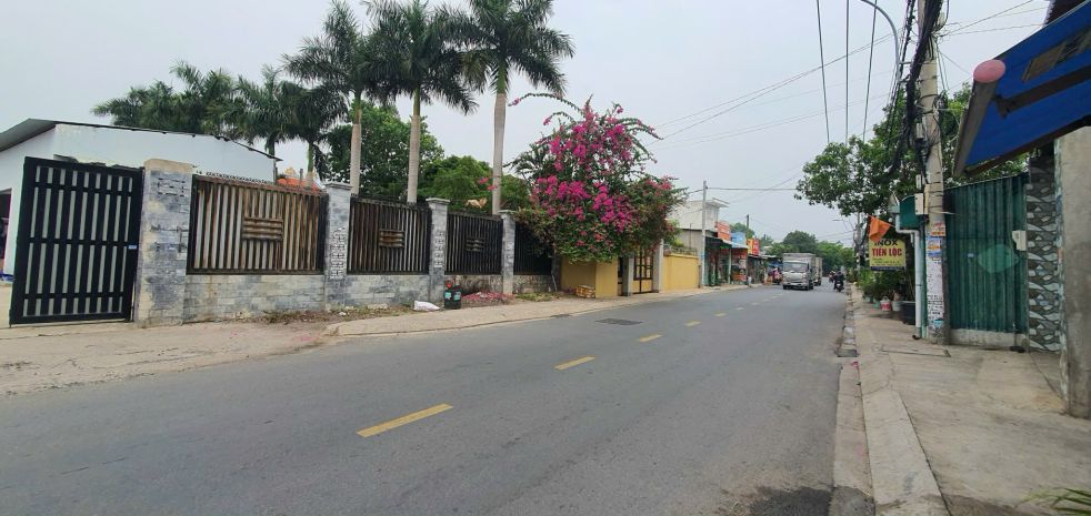 Bán xưởng mặt tiền nguyễn thị ngâu 1900m2 có 1200m2 thổ cư 7105335