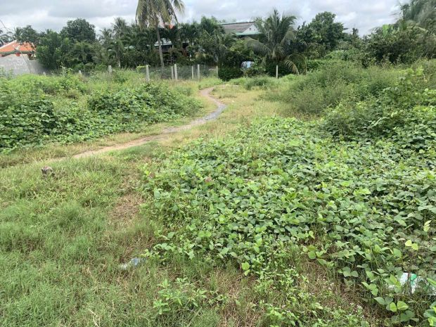 Chính chủ bán 229m2 đất tại đường đt. 818, xã nhị thành, 7106802