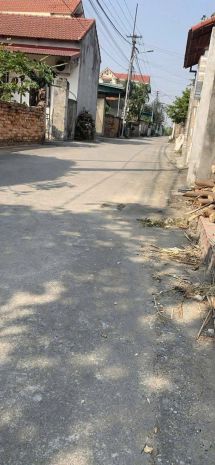 Chính chủ bán đất phả lê  việt hưng  văn lâm  hưng yên 7107409