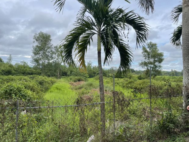 Đất cln - 5950m2  h xe tải  tránh ,võ văn vân - vĩnh lộc 7107611