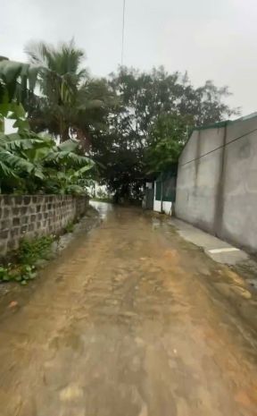 Bán 450m2 đất chính chủ tại thôn rộc trụ i, xã khoan dụ, 7107795