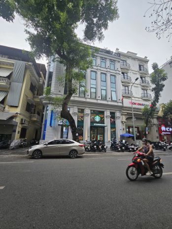 Tòa nhà đẳng cấp mặt phố cổ nguyễn hữu huân,  229m2 9t 7109675