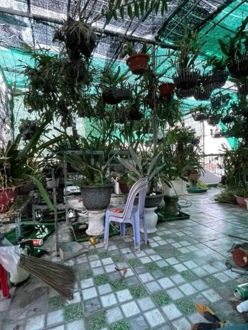 Bán nhà gần khu chợ chiều lương đình của, hẻm ô tô
 diện 7109898