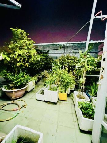 Đối diện celadon city  hxh tránh thông  nhà đẹp 90m ngang 7110132