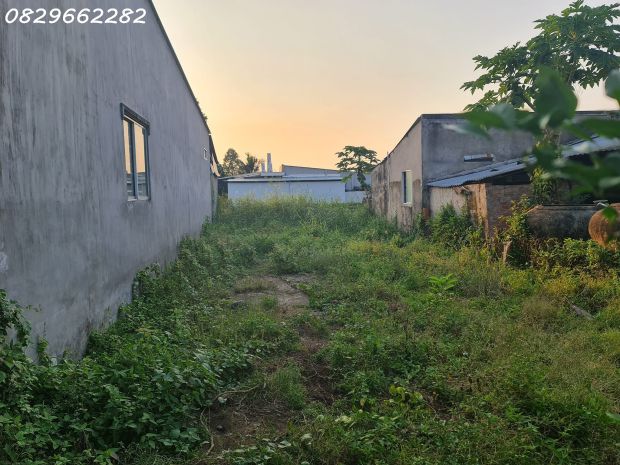 Bán đất thổ cư sổ hồng 156m² đường cai dao, tân quy đông, 7110833