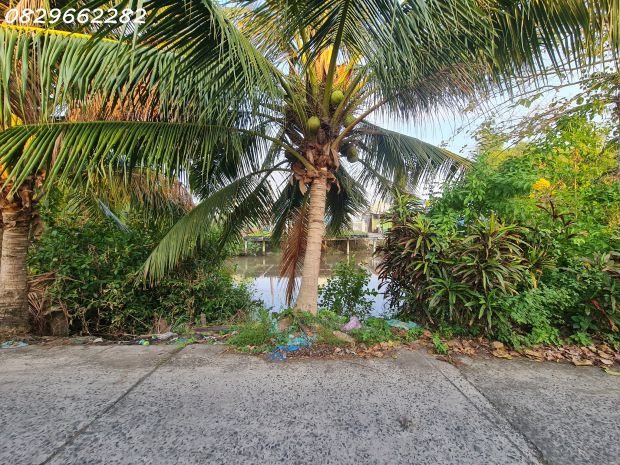 Bán đất thổ cư sổ hồng 156m² đường cai dao, tân quy đông, 7110837