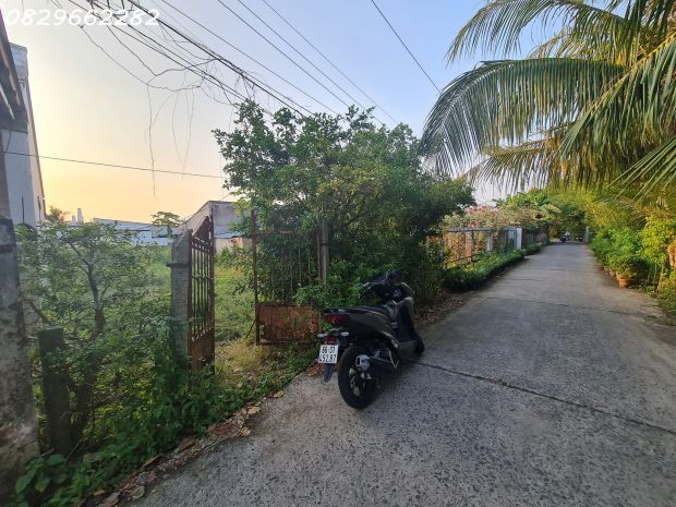 Bán đất thổ cư sổ hồng 156m² đường cai dao, tân quy đông, 7110844