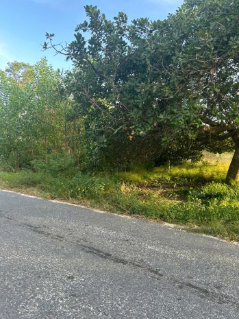 Bán 10m x 70m đất odt mặt tiền cù chính lan - lagi giá ngộp 7111035