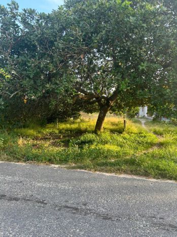 Bán 10m x 70m đất odt mặt tiền cù chính lan - lagi giá ngộp 7111037