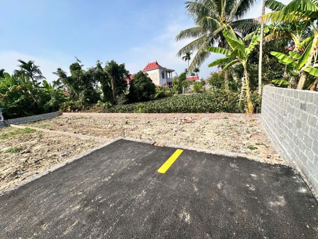 Đất cốc liễn  minh tân  kiến thụy  80m²  ngõ 4m nhựa  giá 7112359