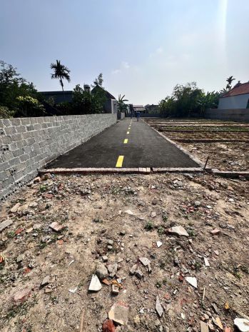 Đất cốc liễn  minh tân  kiến thụy  80m²  ngõ 4m nhựa  giá 7112360