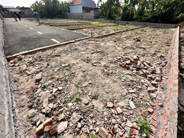 Đất cốc liễn  minh tân  kiến thụy  80m²  ngõ 4m nhựa  giá 7112361