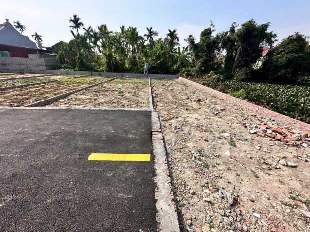 Đất cốc liễn  minh tân  kiến thụy  80m²  ngõ 4m nhựa  giá 7112362