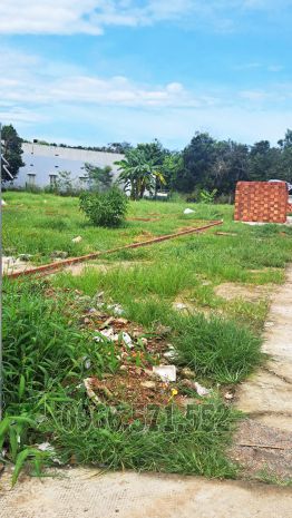 Mua 1 được 2 bán 2 lô thổ cư giá chỉ 1,290 tỷ 7112834