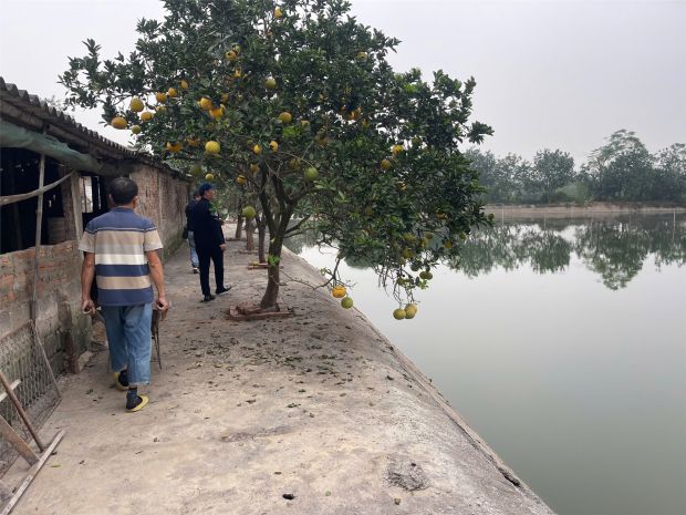 Đất đẹp - giá tốt chính chủ  chính chủ cần bán mảnh đất 7114967