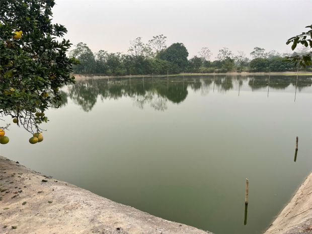 Đất đẹp - giá tốt chính chủ  chính chủ cần bán mảnh đất 7114969