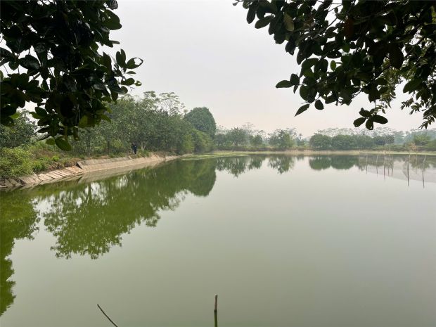 Đất đẹp - giá tốt chính chủ  chính chủ cần bán mảnh đất 7114971