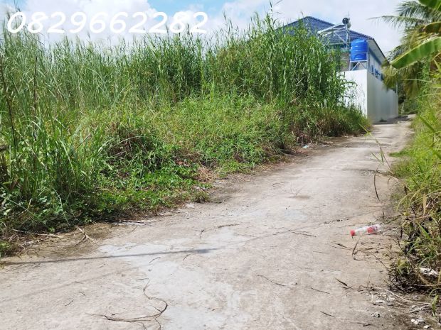 Bán đất sổ hồng 171m2 7x25m mt 7m h. tây bắc đường tân 7115485