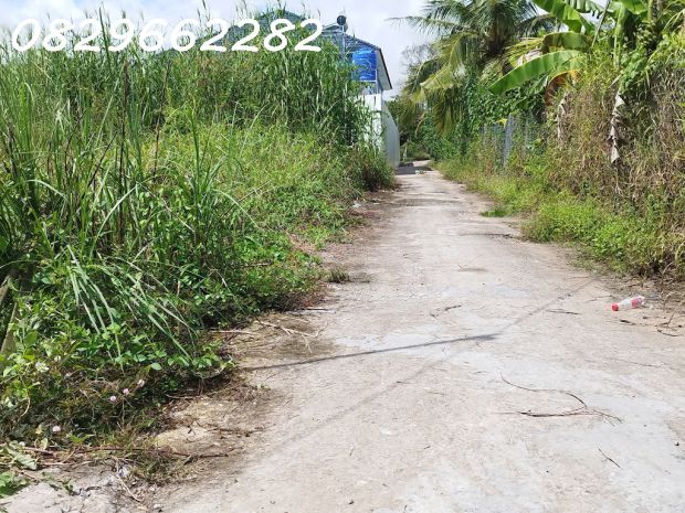 Bán đất sổ hồng 171m2 7x25m mt 7m h. tây bắc đường tân 7115486