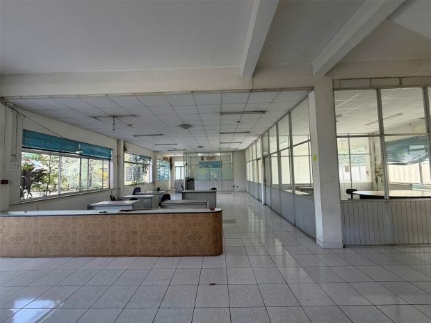 Xt675 nhà xưởng sản xuất kinh doanh thương mại phù hợp 7115989