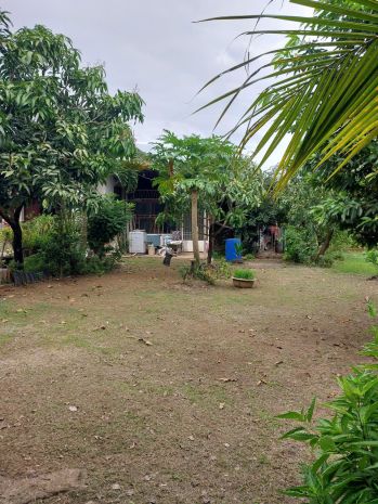 Nhà vị trí đẹp- giá tốt chính chủ bán nhà vườn và 2 dãy nhà 7116042