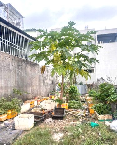 Ngộp sâu! giảm ngay 500tr  đất 128m² tăng nhơn phú a  hxh 7116851