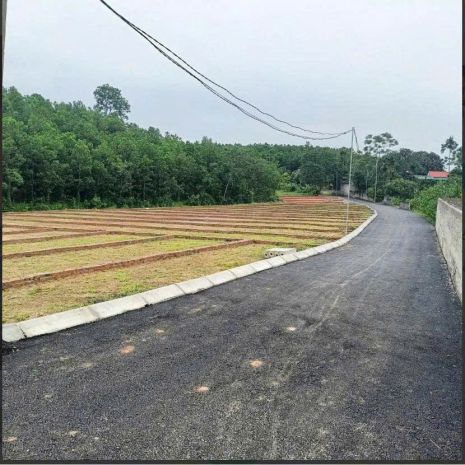 195 triệu  có ngay đất thổ cư, sổ đỏ trao tay! 7117069