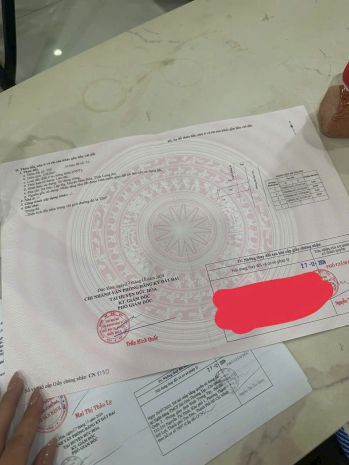 Bán nhà mặt tiền đường nhựa  bàu sen, đức hòa, long an 7117143