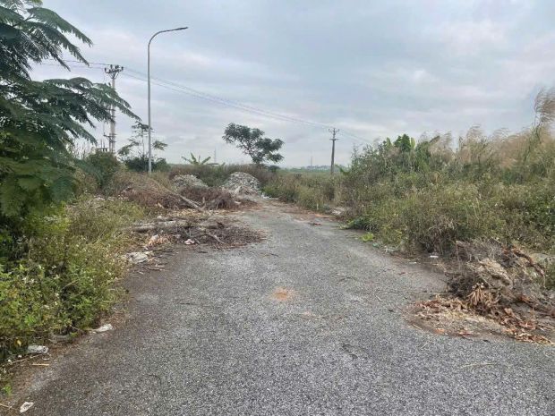 2.x tỷ  lô đối diện công viên đa phúc central park, giá 7117186