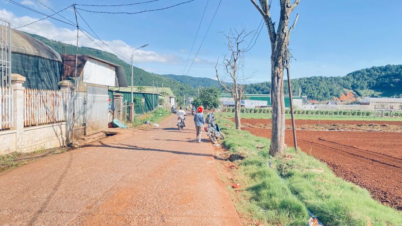 1 sào hẻm ql20, hiệp an cũ, đức trọng, lâm đồng 7117619